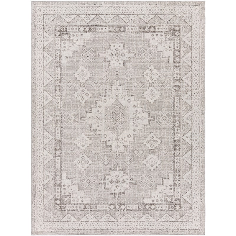 Susannah Indoor / Outdoor Updated Traditional Area Rug