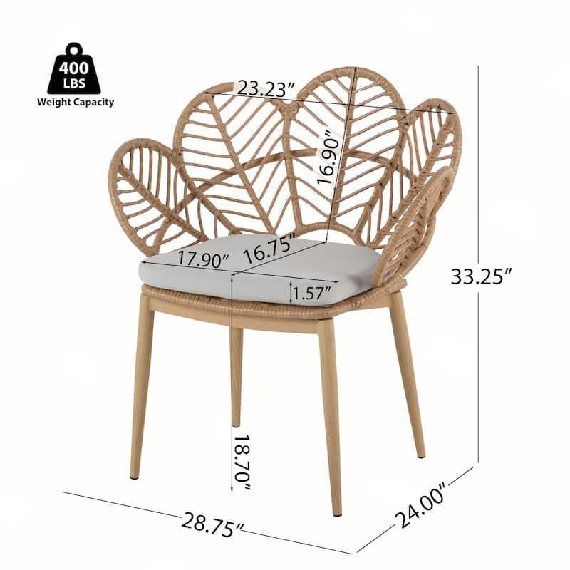Outdoor Wicker Peacock Shape Papasan Style Chair, Set of 2