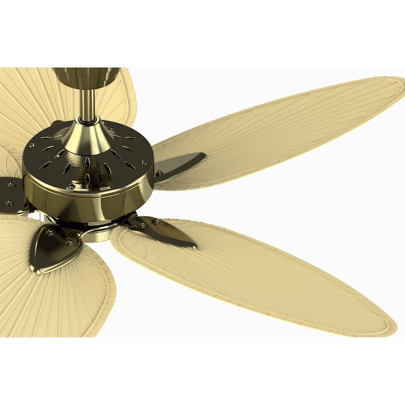 Fanimation Windpointe 52 inch Indoor Ceiling Fan