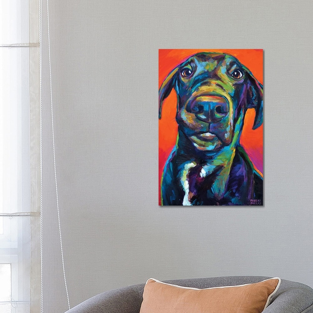 iCanvas "Great Dane I" by Robert Phelps Canvas Print