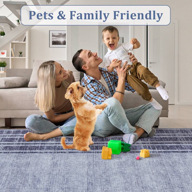 Washable Area Rugs for Living Room, Soft Modern Bordered Rug Non Slip Low Profile Carpets for Bedroom Dining Room