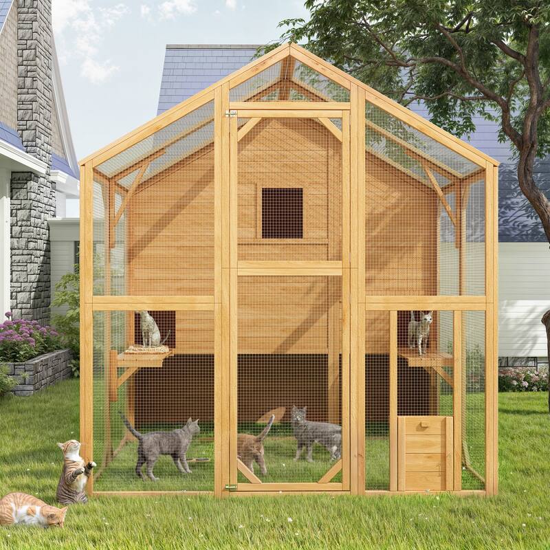 Cat Catio Window Box for 6 to 8 Kittens, Lockable House with 5 Windows