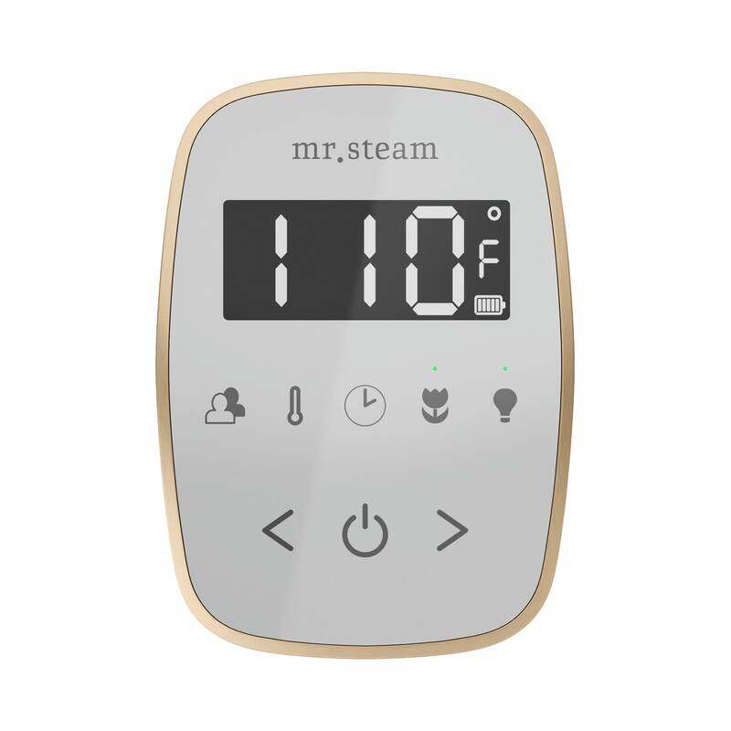 Mr Steam BFL Butler Flex Linear Package Steam Shower Control Package