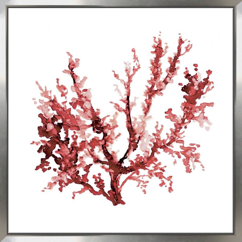 "Sea Coral III" by Carol Robinson Print on Floating Canvas