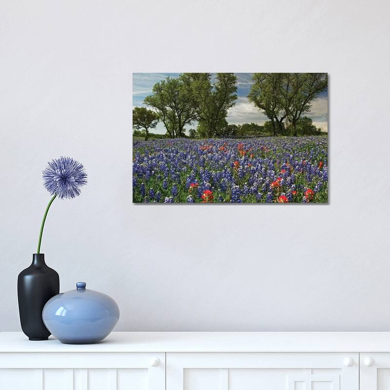 iCanvas "Sand Bluebonnet And Indian Paintbrush Flowers In Bloom, Hill Country, Texas" by Tim Fitzharris Canvas Print - 12x18x1.5