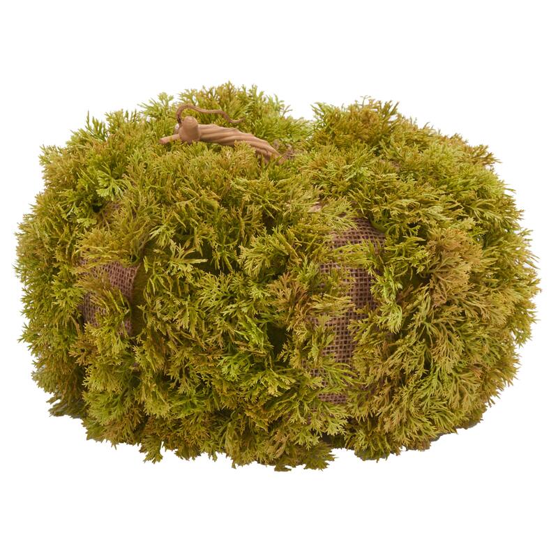 SAFAVIEH Joette Faux 10 Inch Moss Pumpkin - 10" W x 10" D x 6" H - 10Wx10Dx6H