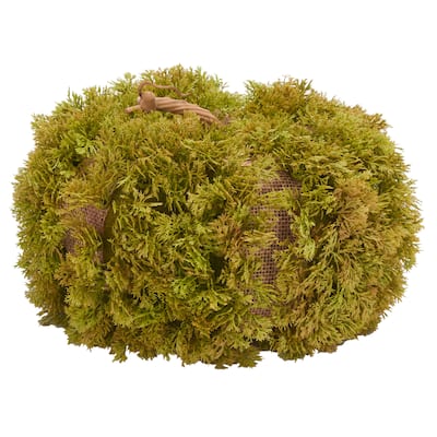 SAFAVIEH Joette Faux 10 Inch Moss Pumpkin - 10" W x 10" D x 6" H - 10Wx10Dx6H