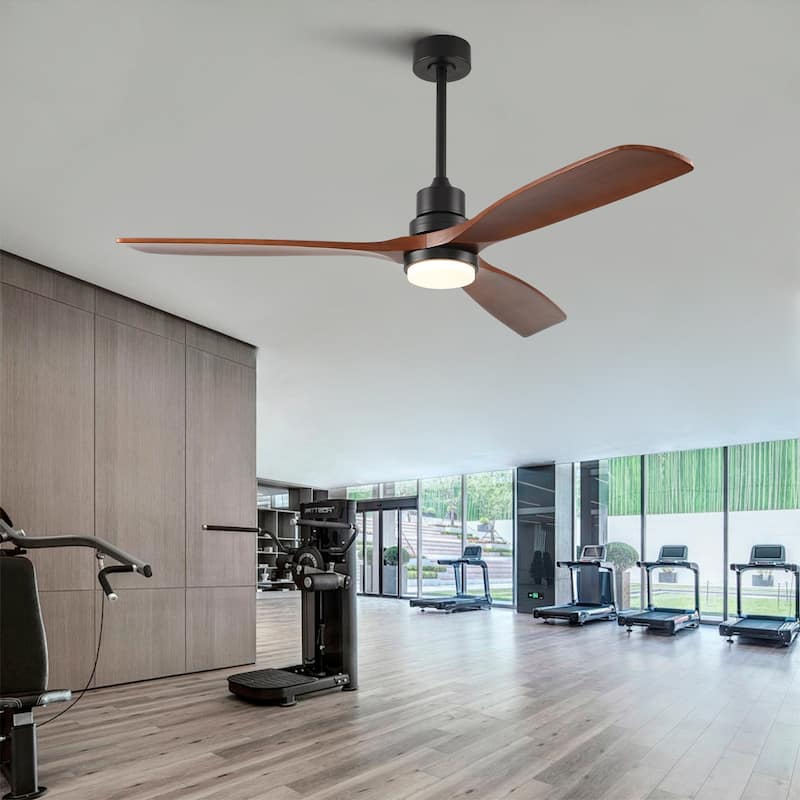 60 Inch Modern Black Ceiling Fan With Light 3 Solid Wood Blades Remote Control Reversible DC Motor With Dimmable LED