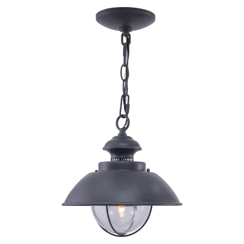 Harwich 1 Light Gray Coastal Outdoor Barn Dome Pendant Clear Glass - 10-in W x 10.75-in H x 10-in D