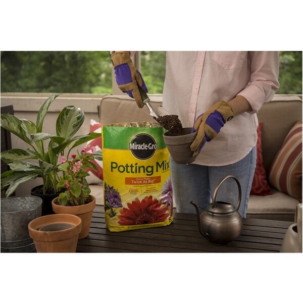 bags Miracle Gro 72078500 8 Quart Cactus Palm & Citrus ...