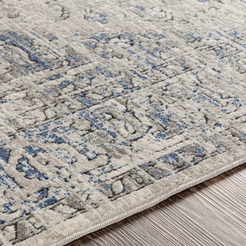 Nahla Distressed Traditional Area Rug