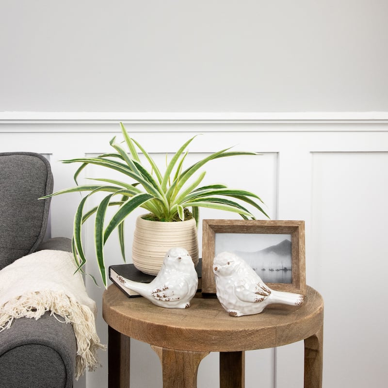Artificial Spider Plant in Beige Ceramic Pot - 20"