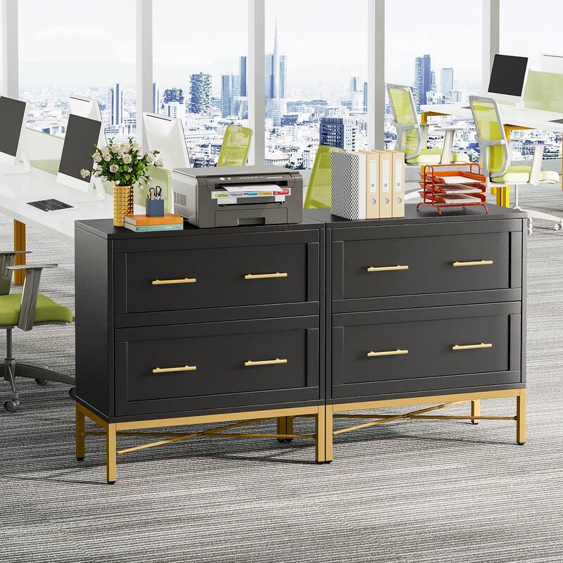 2 Drawer Lateral Filing Cabinet, Modern File Cabinet Printer Stand, Large Storage Cabinets for Letter/Legal/A4 Size, White