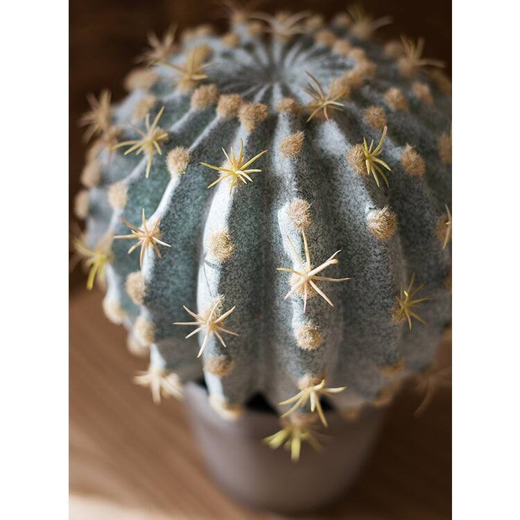 RusticReach Artificial Potted Cactus Ball
