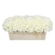 Option White