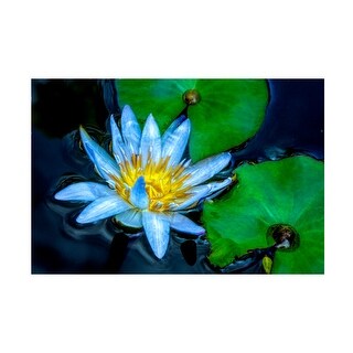 Celebrate Life Gallery 'Lily of Love Painting' Canvas Art