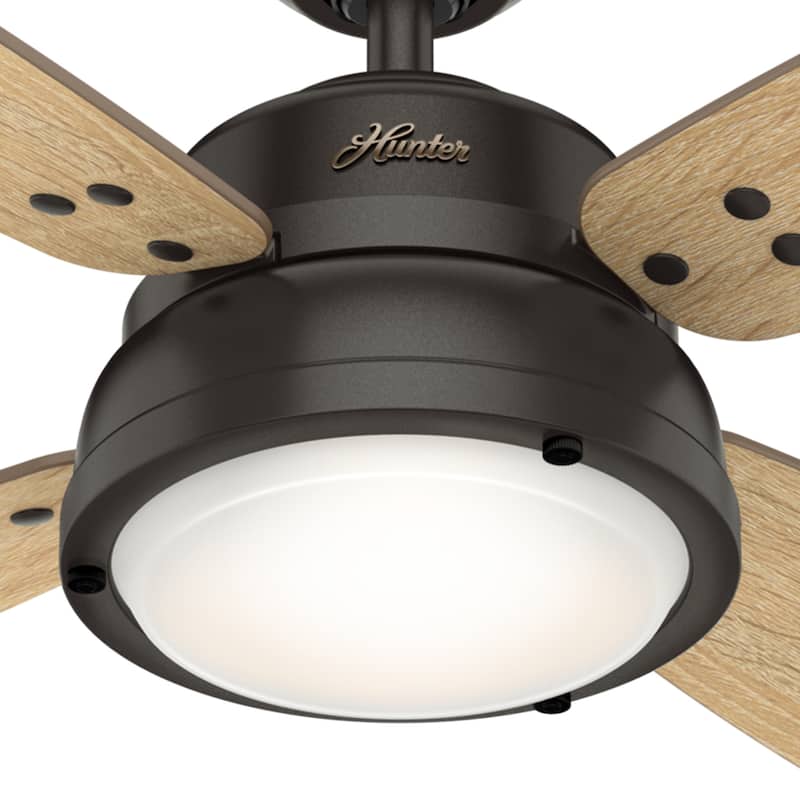 Hunter 52" Wingate Ceiling Fan with LED Light Kit and Handheld Remote - Transitional, Coastal