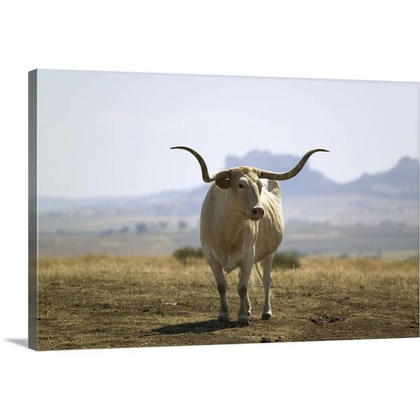 Texas Longhorn Canvas Wall Art Overstock Com Shopping The Best Deals On Gallery Wrapped Canvas 22818676