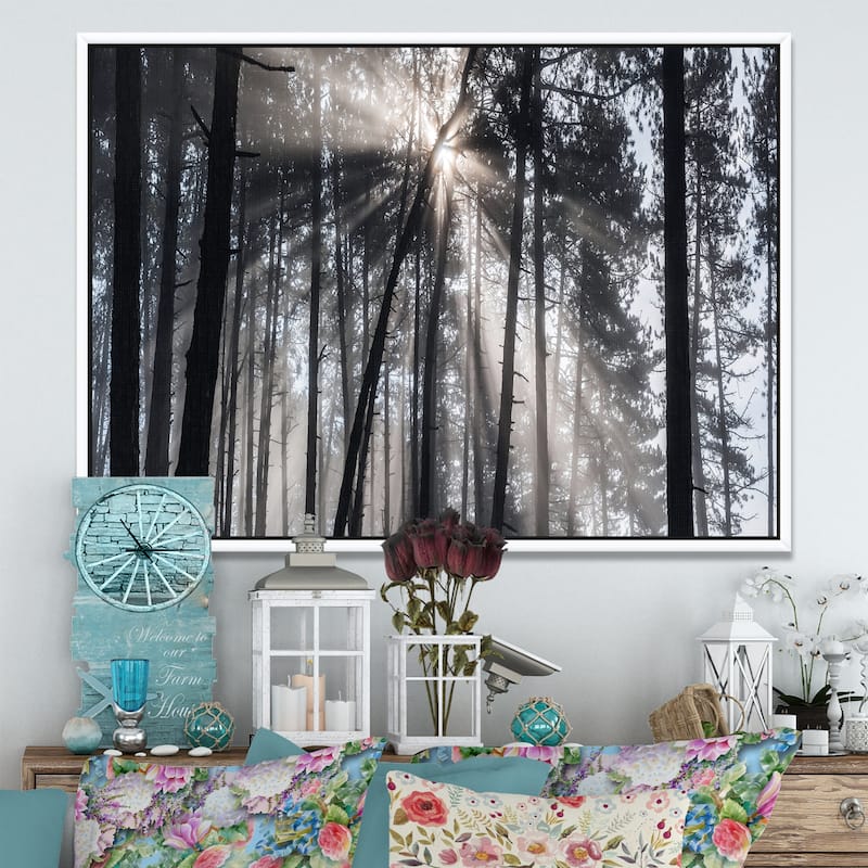 Designart "Sunbeams through Black White Forest" Forest Framed Canvas Wall Art Print