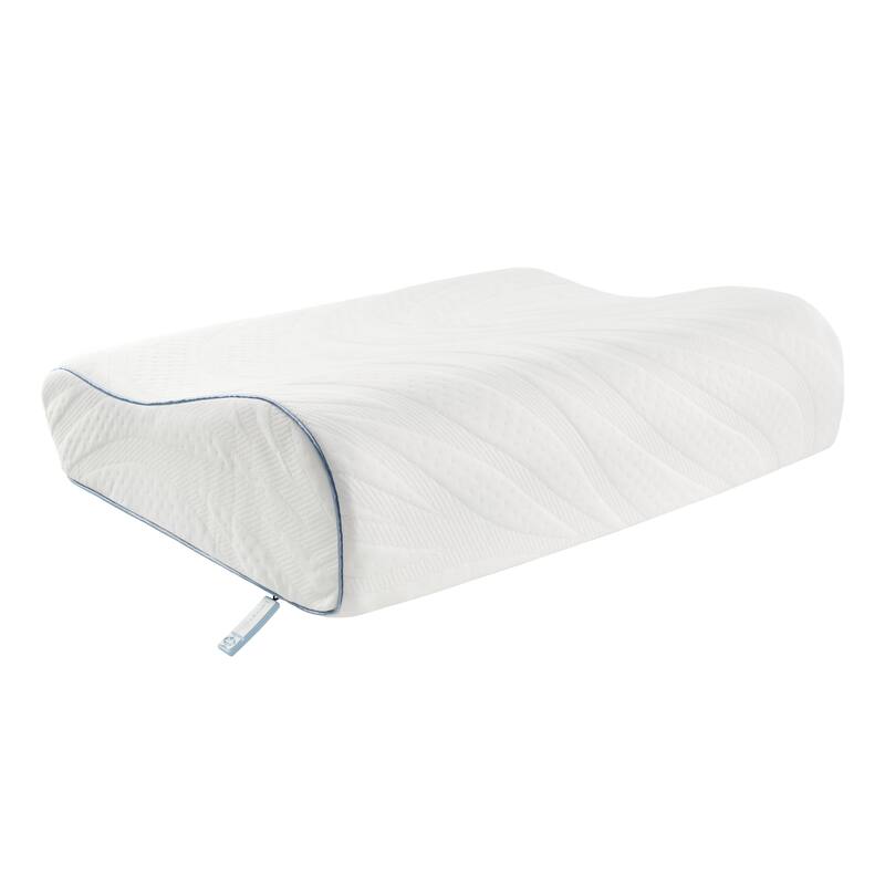 Sealy Dreamlife Contour Memory Foam Pillow, Standard