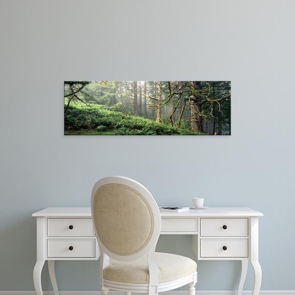 Easy Art Prints Panoramic Image 'Sitka Spruce (Picea sitchensis) trees in a forest, Ecola Park, Oregon' Canvas Art