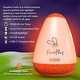 preview thumbnail 2 of 5, Firefly & Shushie 6-Pack Bundle - Orange - N/A
