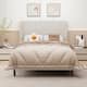 Option Beige-Chenille