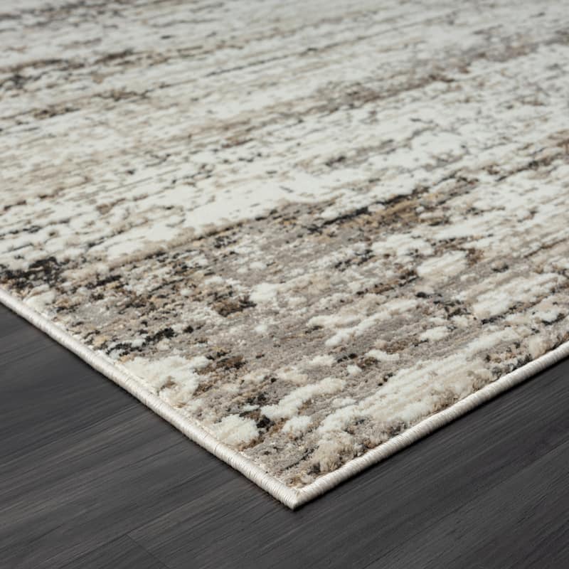 Bailey Transitional Abstract Gray/Beige Performance Indoor Area Rug by Sevita
