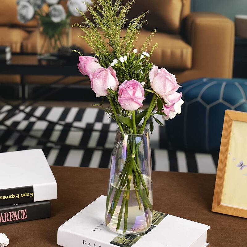 Modern Glass Vase Crystal Flower Vases for Home & Office Decor