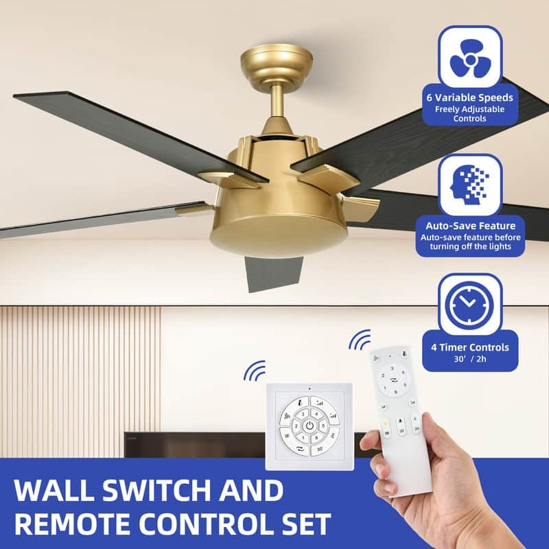Moasis 52 Inch Modern Black Gold Ceiling Fan with Wall Switch & Remote