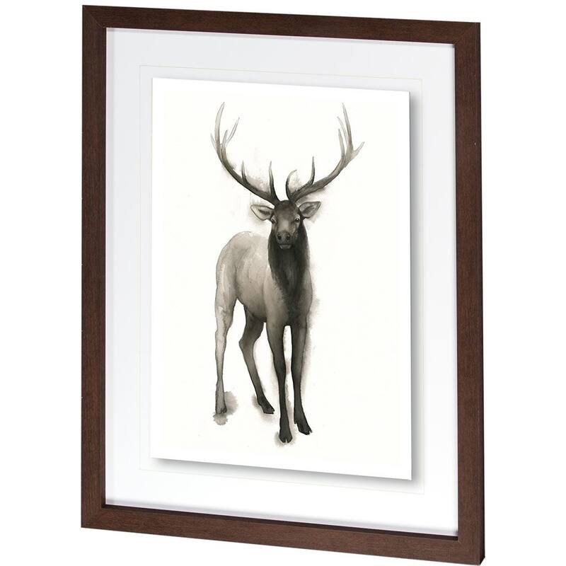 Majestic Wildlife II Framed Art Print