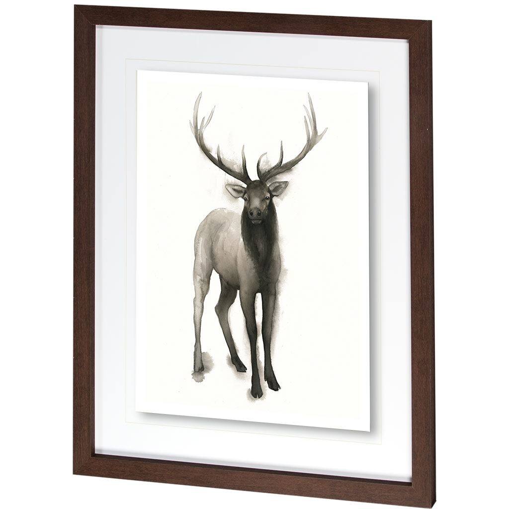 Majestic Wildlife II Framed Art Print