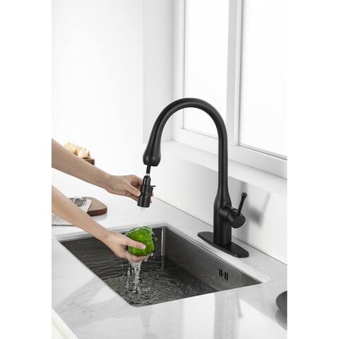 Single Handle Pull-out Kitchen Faucet with Deck Plate Matte Black