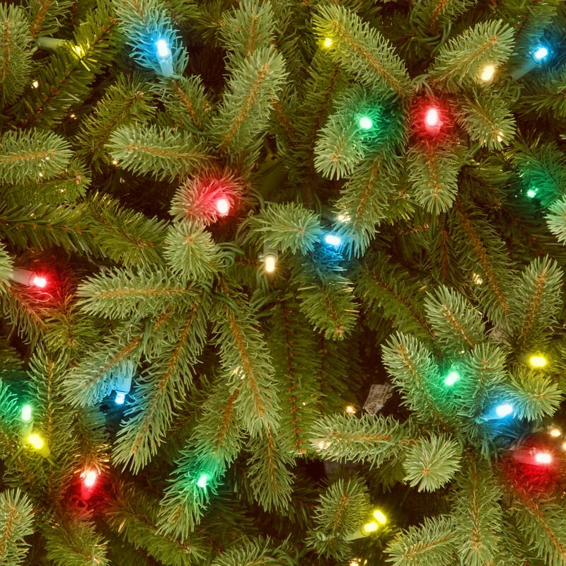 National Tree Company 6.5 ft. Jersey Fraser Fir Tree with Clear Lights