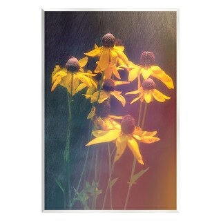 Stupell Black-Eyed Susan Photography Wall Plaque Art Daniel Sproul ...