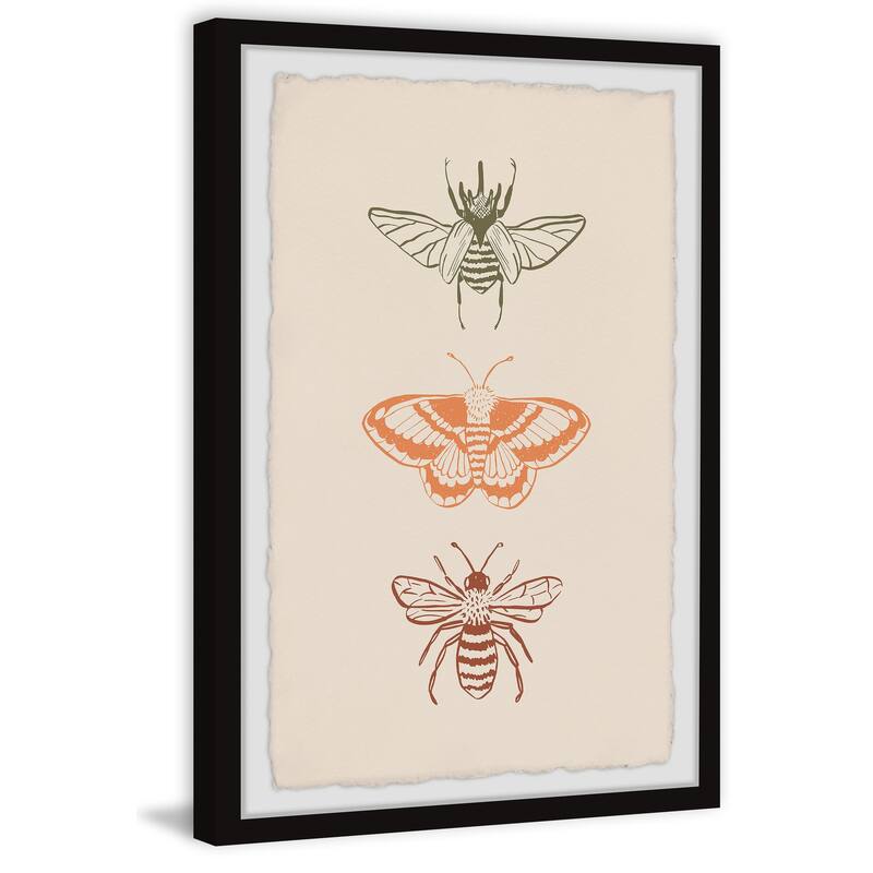 'Assorted Moths' Framed Painting Print