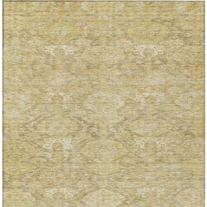 HomeRoots Damask Transitional Rectangle Outdoor Rug