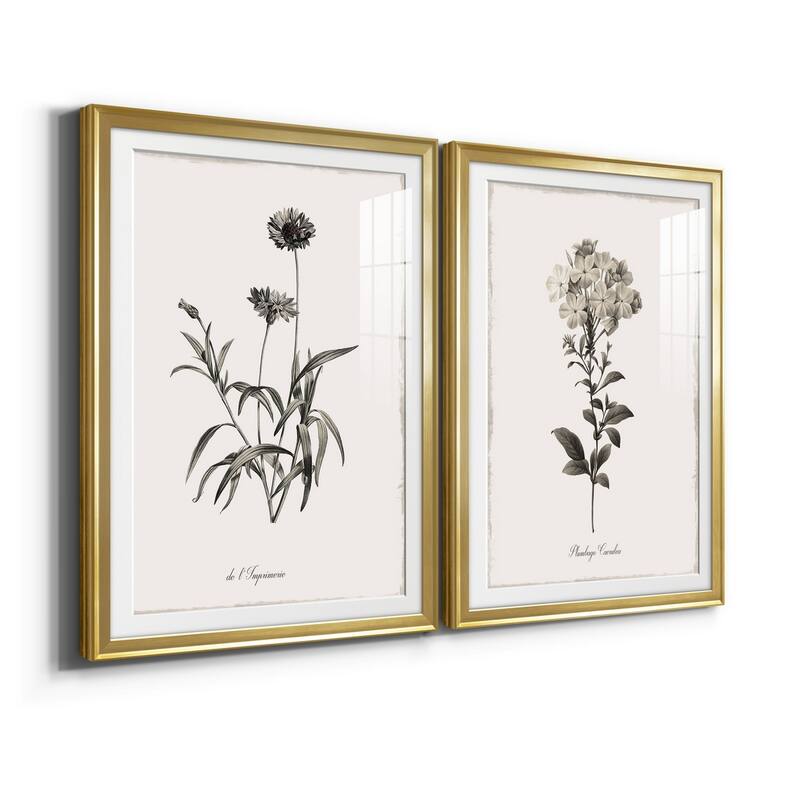Sketchbook Imperial Premium Framed Print - Ready to Hang