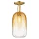 Option Champagne Bronze / Amber Shade