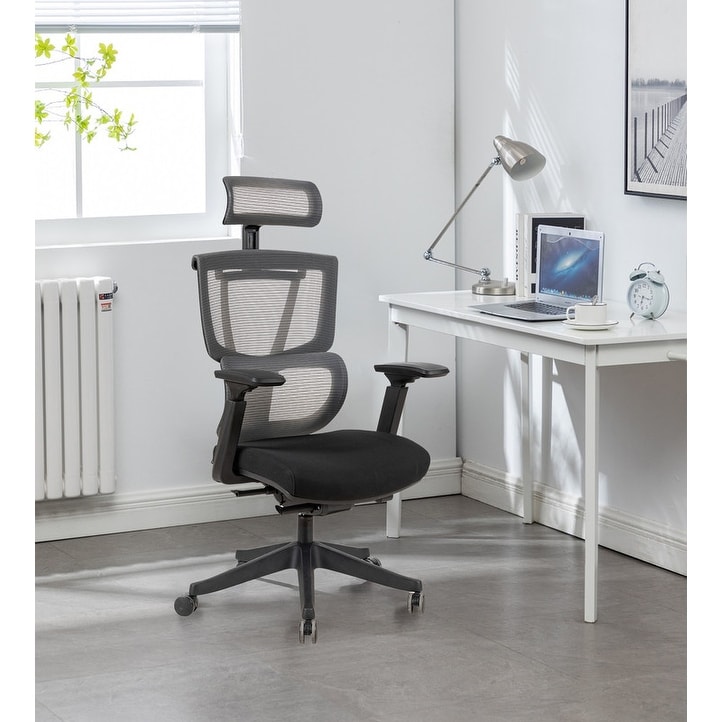 Exclusive Ergo Office Chair with double backs - N/A