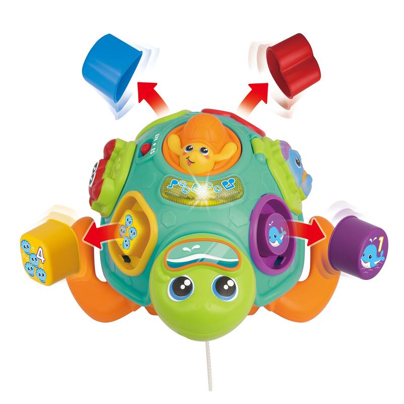 Bilingual Pull along sort 'n Learn Turtle