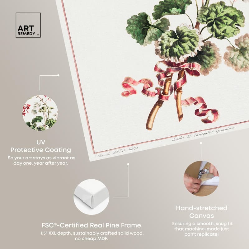 Carlet Variegated Geranium 1801 Canvas by Art Remedy, Gallery Wrapped