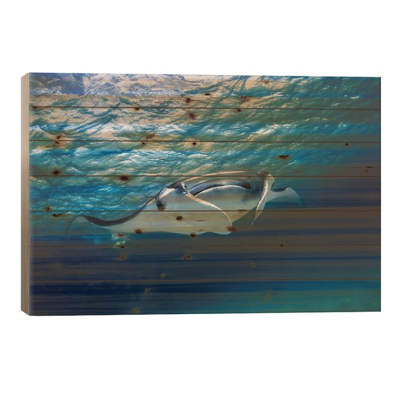 Manta Ray Print On Wood by Barathieu Gabriel - Multi-Color - 26x40x1.5