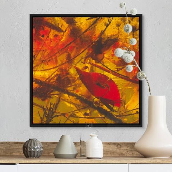Shop Abstract Plants Flowers Detail Black Float Frame Canvas
