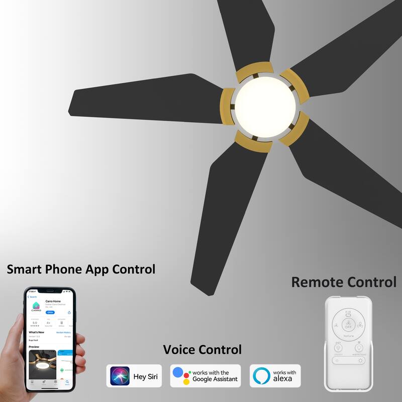 CARRO Boreas 52" Smart Ceiling Fan with Light and Remote-Downrod