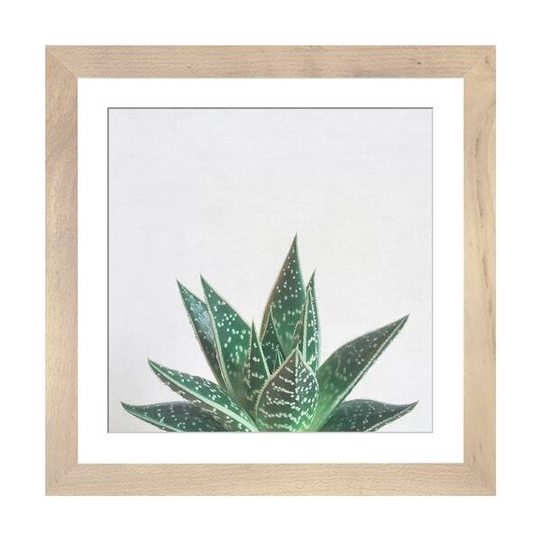 iCanvas "Aloe Tiki" by Cassia Beck PFA - Bed Bath & Beyond - 37268293