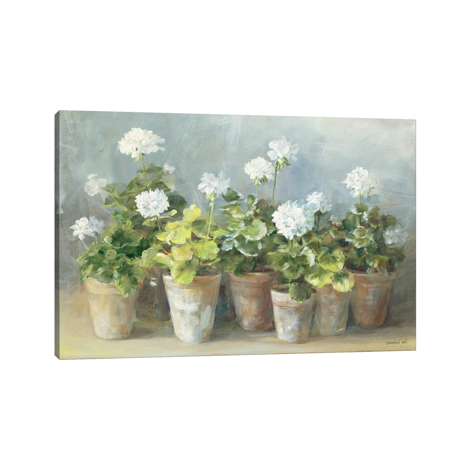 iCanvas "White Geraniums" by Danhui Nai Canvas Print