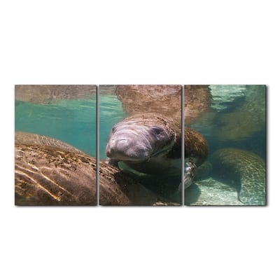 Ready2HangArt 'Manatee' 3-Piece Wrapped Canvas Wall Art Set
