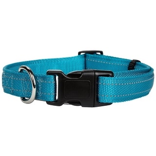 teal dog collar and leash