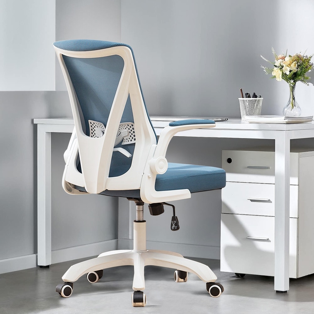 https://ak1.ostkcdn.com/images/products/is/images/direct/06abf4bd8de2d6df605e8f73f49f9bda7190c2d4/Office-Chair%2C-Ergonomic-Desk-Chair-with-Lumbar-Support---Flip-Up-Armrest%2C-High-Back-Mesh-Task-Chairs-for-Home-Office.jpg